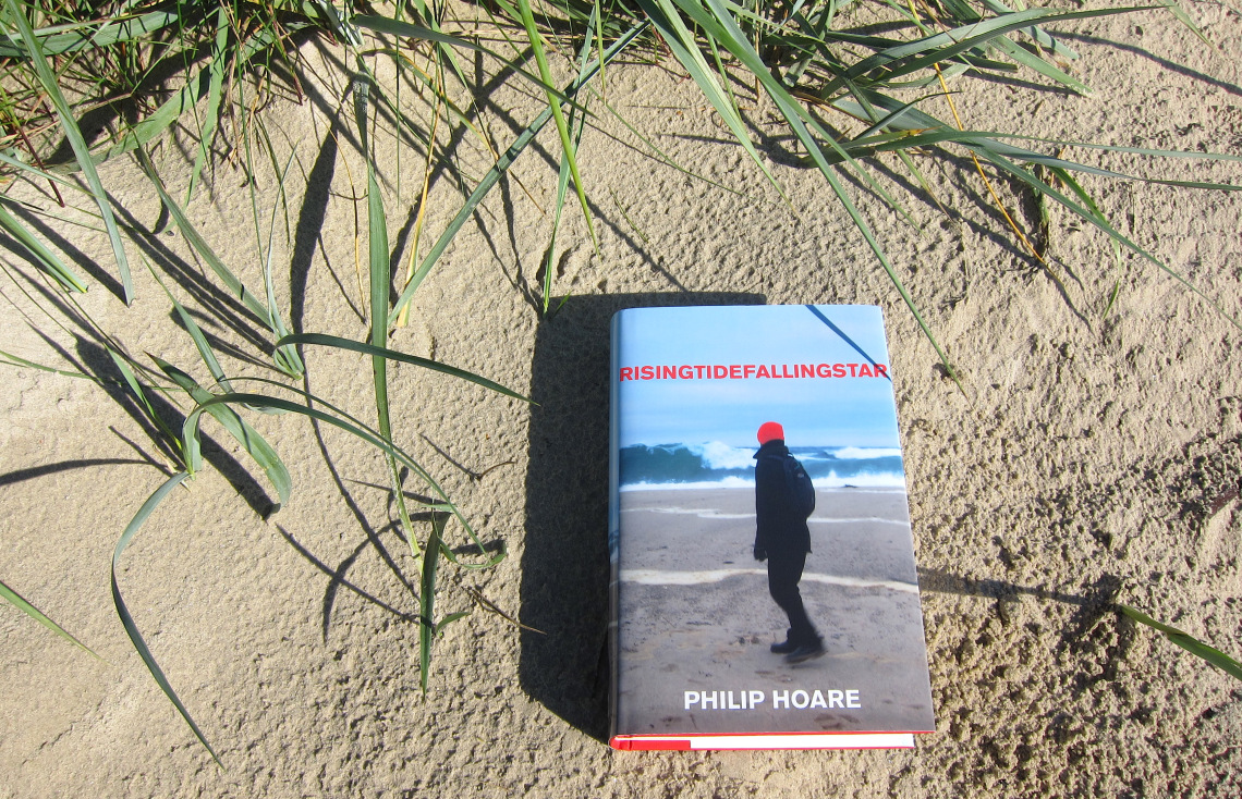 bbooks_risingtidefallingstar