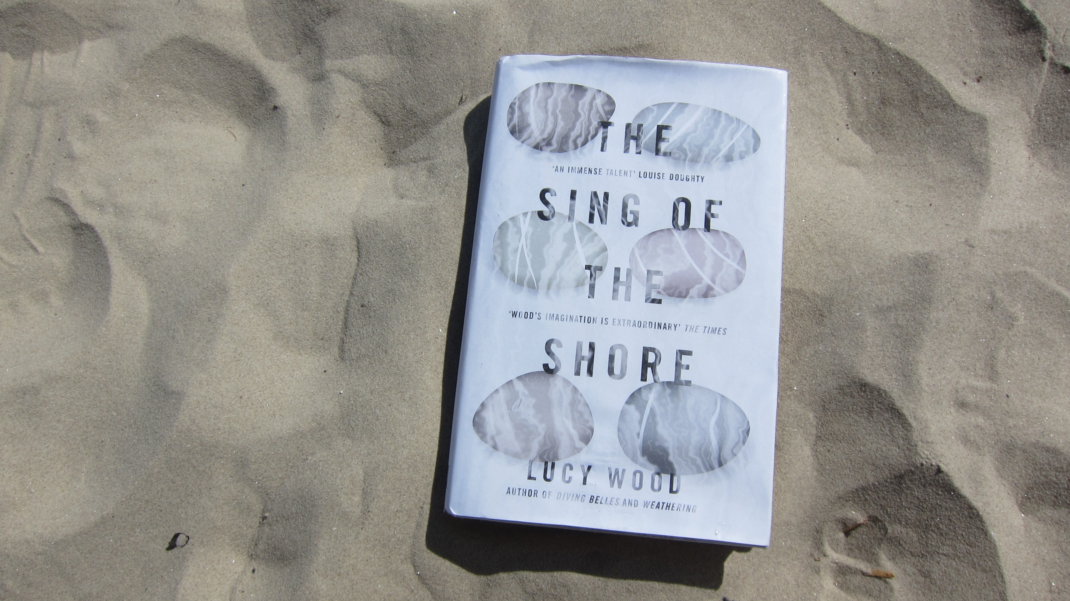 bbbooks_TheSingOfTheShore