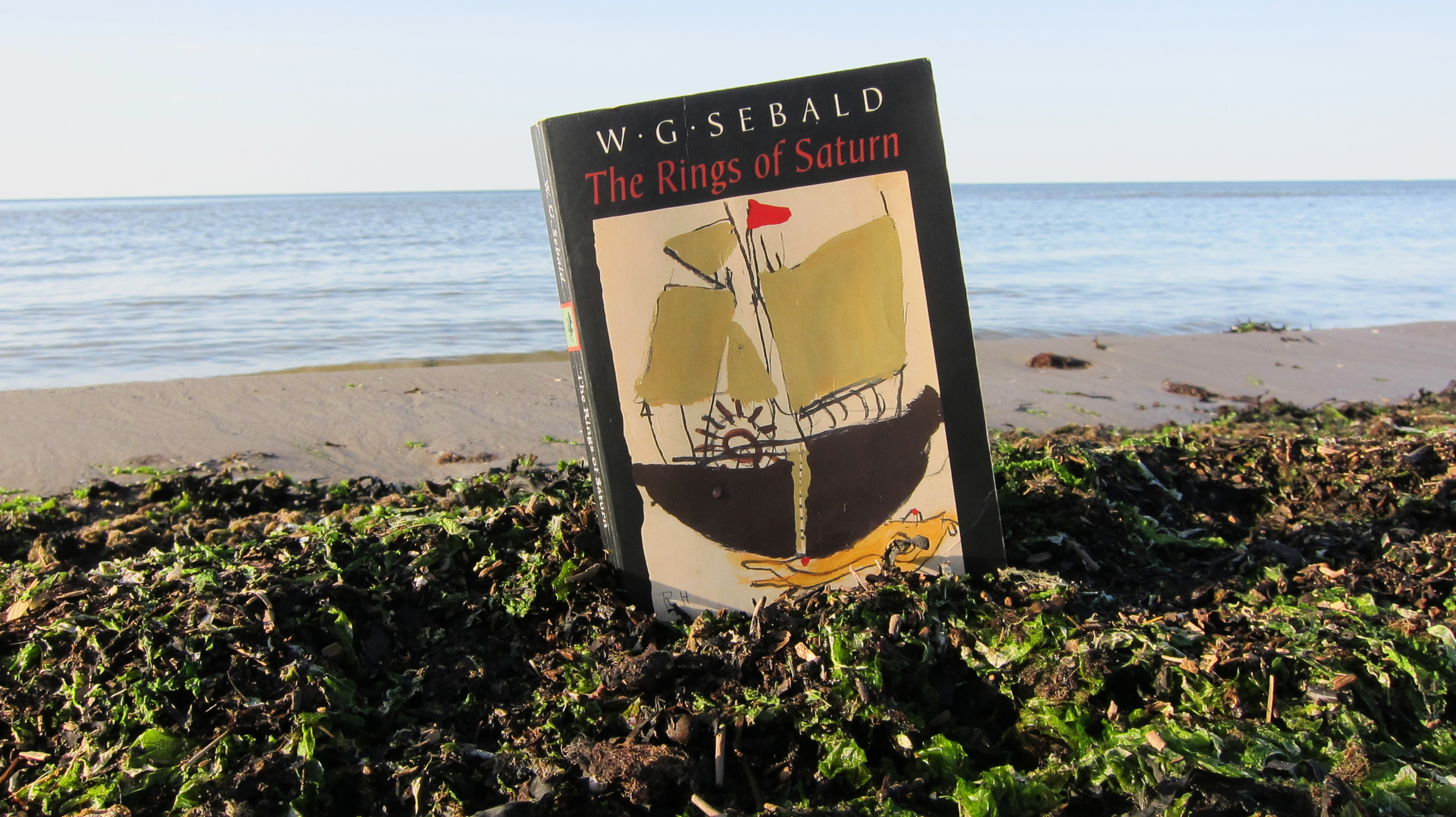 bbbooks_theringsofsaturn