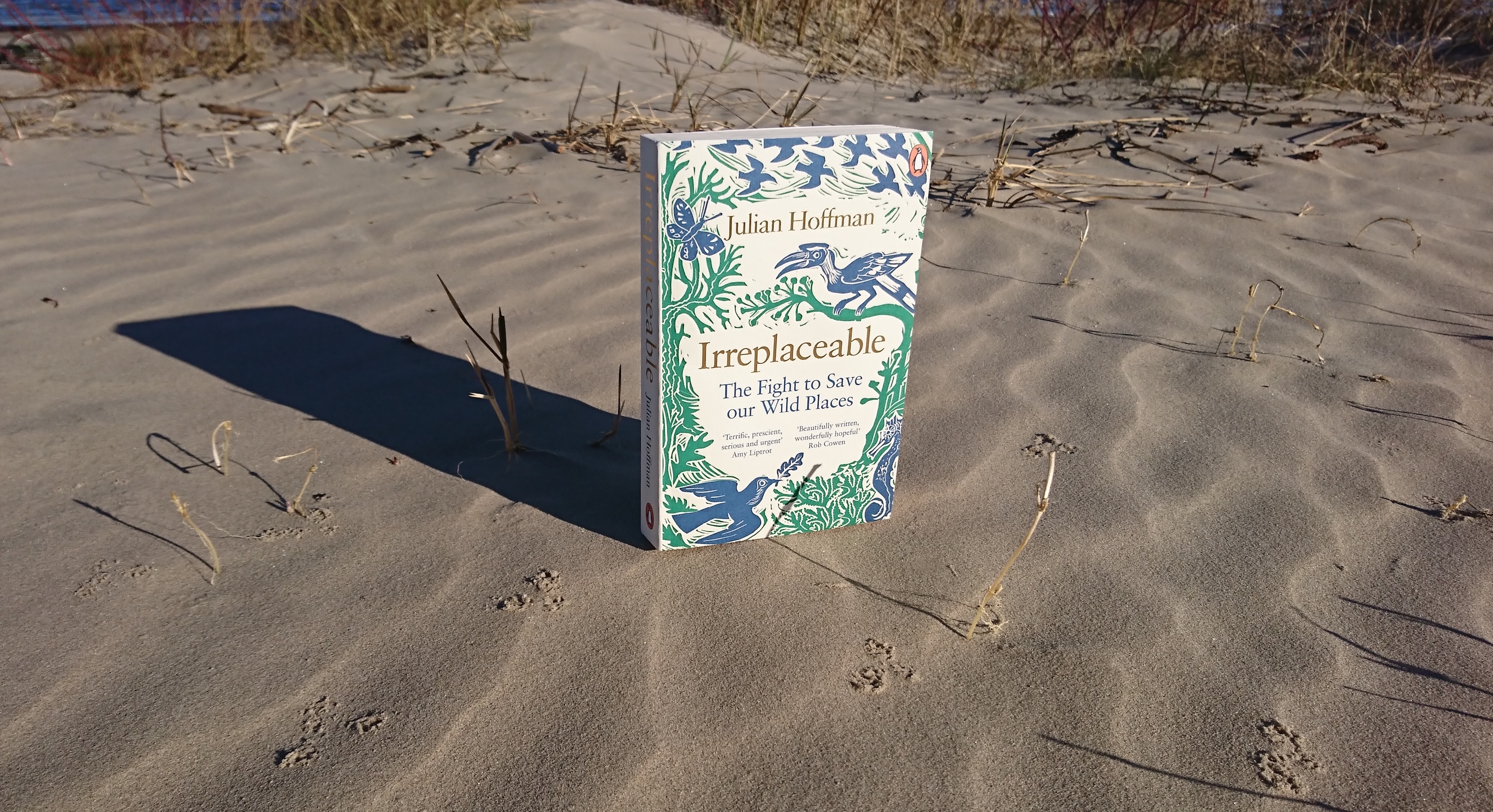 "Irreplaceable: The Fight to Save our Wild Places" by Julian Hoffman. Photo: Beach Books.